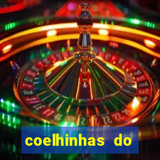 coelhinhas do brasil recife